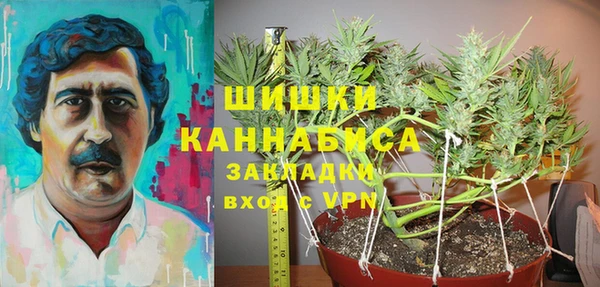 спиды Инсар