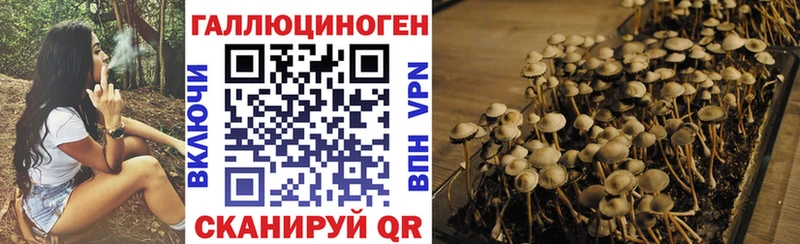 Купить где  Волгоград  Псилоцибиновые грибы MAGIC MUSHROOMS 